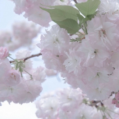 盈江FurryQQ群介绍